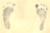 Deborah Sue Stone's Footprints